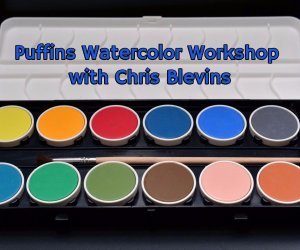 Puffins Watercolor Workshop with Chris Blevins